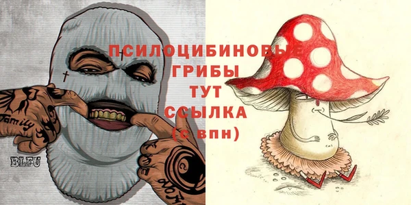 дурь Кулебаки
