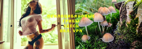 твердый Куйбышев
