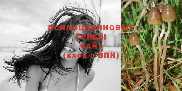 бутират Лабытнанги